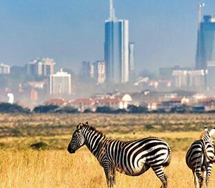 Nairobi National Park 700x450 2 e1750749738533