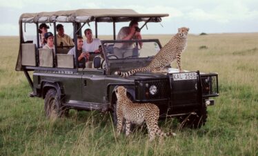 Safari-Masai-Mara-1