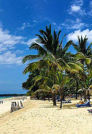malindi e1750430188197